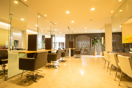 salon photo