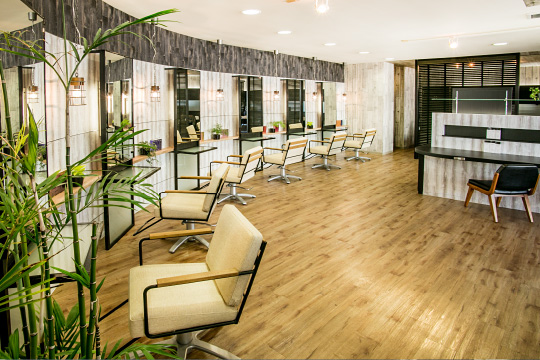 salon photo