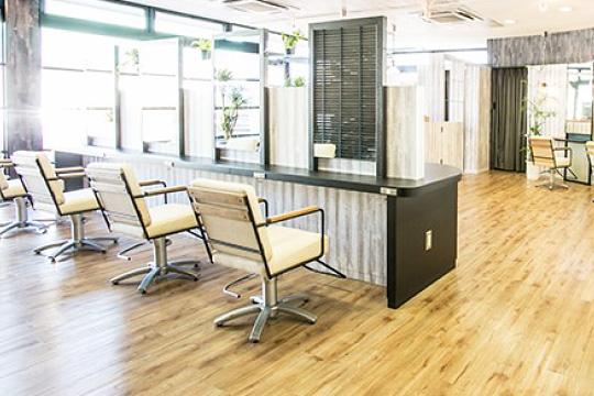 salon photo