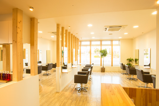 salon photo