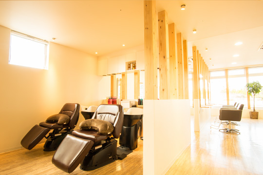 salon photo