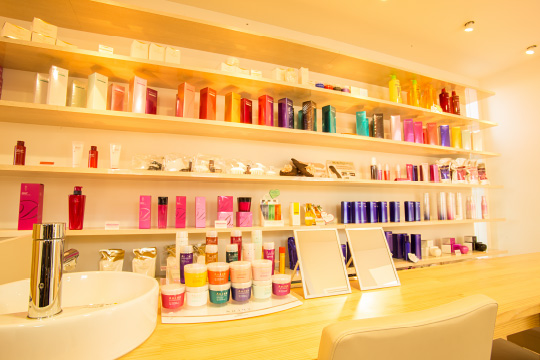salon photo
