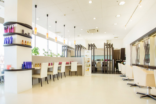 salon photo