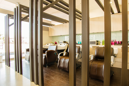 salon photo