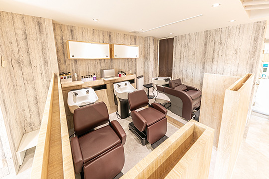 salon photo