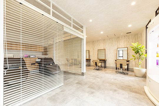 salon photo